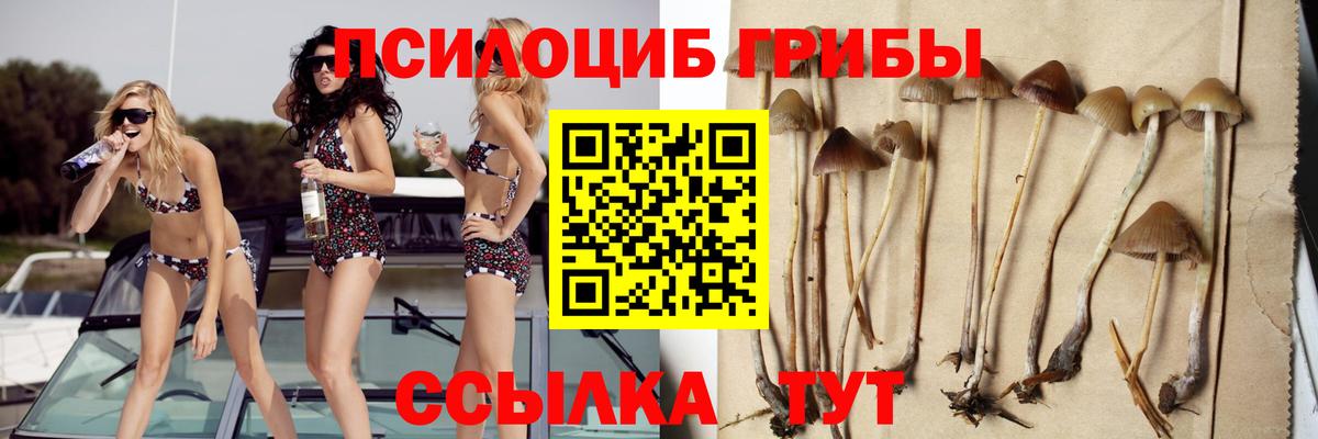 Псилоцибиновые грибы Psilocybine cubensis  Псилоцибиновые грибы Magic Shrooms  Чайковский  Вход с VPN 