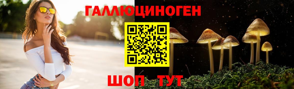 Галлюциногенные грибы MAGIC MUSHROOMS Чайковский